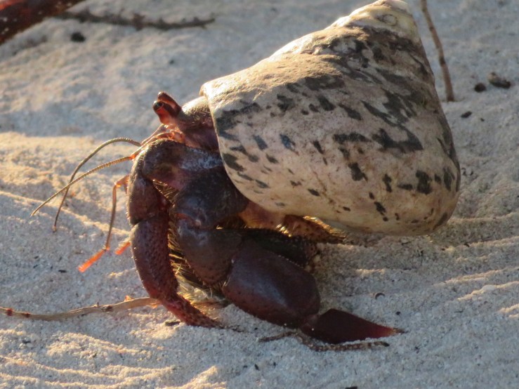 20181229165006_img_0906