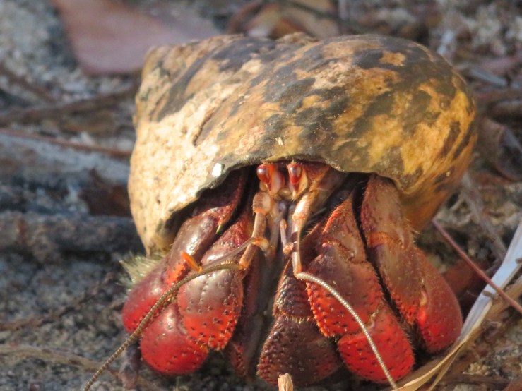 20181229165042_img_0909